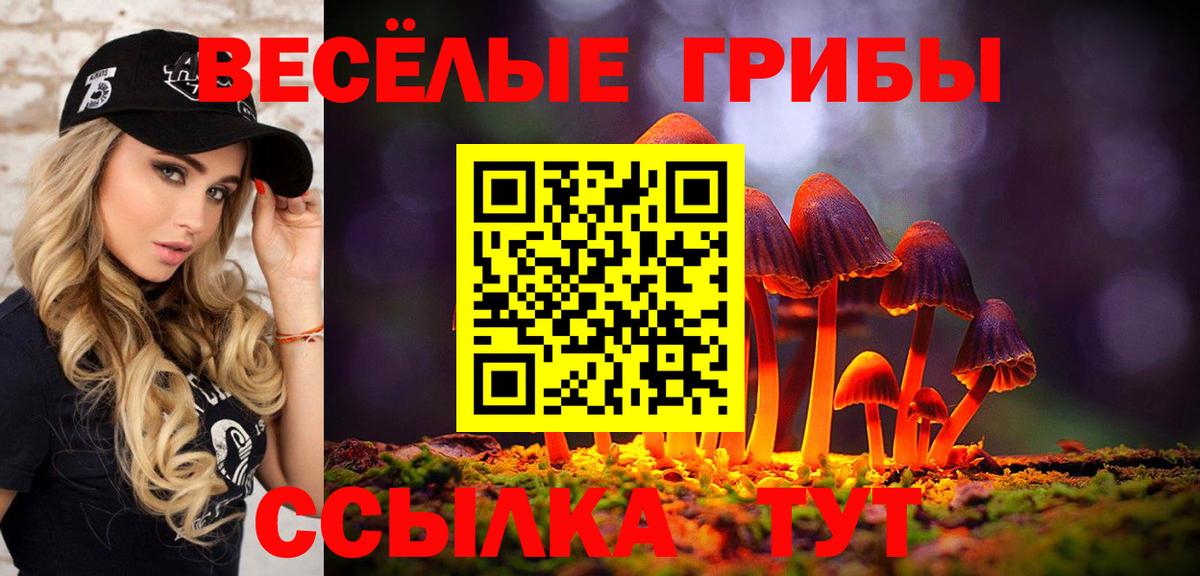 где можно купить наркотик  Галлюциногенные грибы Magic Shrooms  Вход с VPN  Зима  Псилоцибиновые грибы Psilocybe 