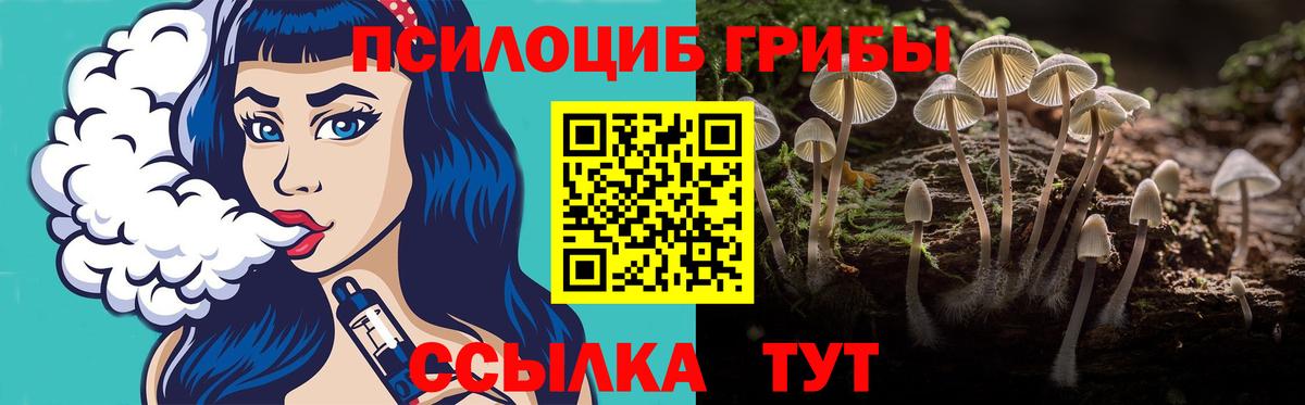 Псилоцибиновые грибы мицелий Зима